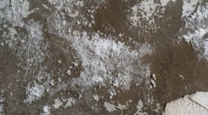 Nos astuces pour faire disparaître le salpêtre sur les murs