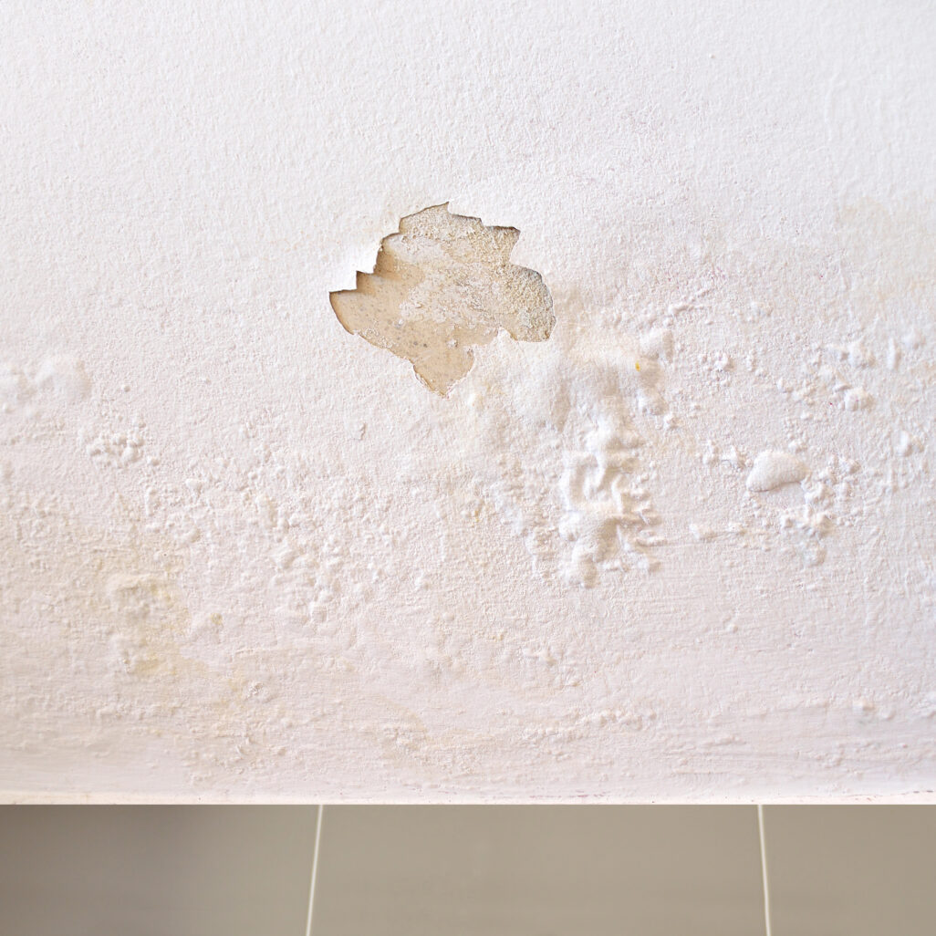 Mur présentant des cloques dues à l’humidité