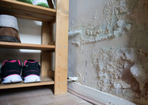 Dégâts d’humidité entraînant des pertes matérielles