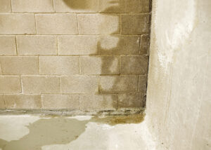 Infiltrations d’eau visibles sur mur de cave