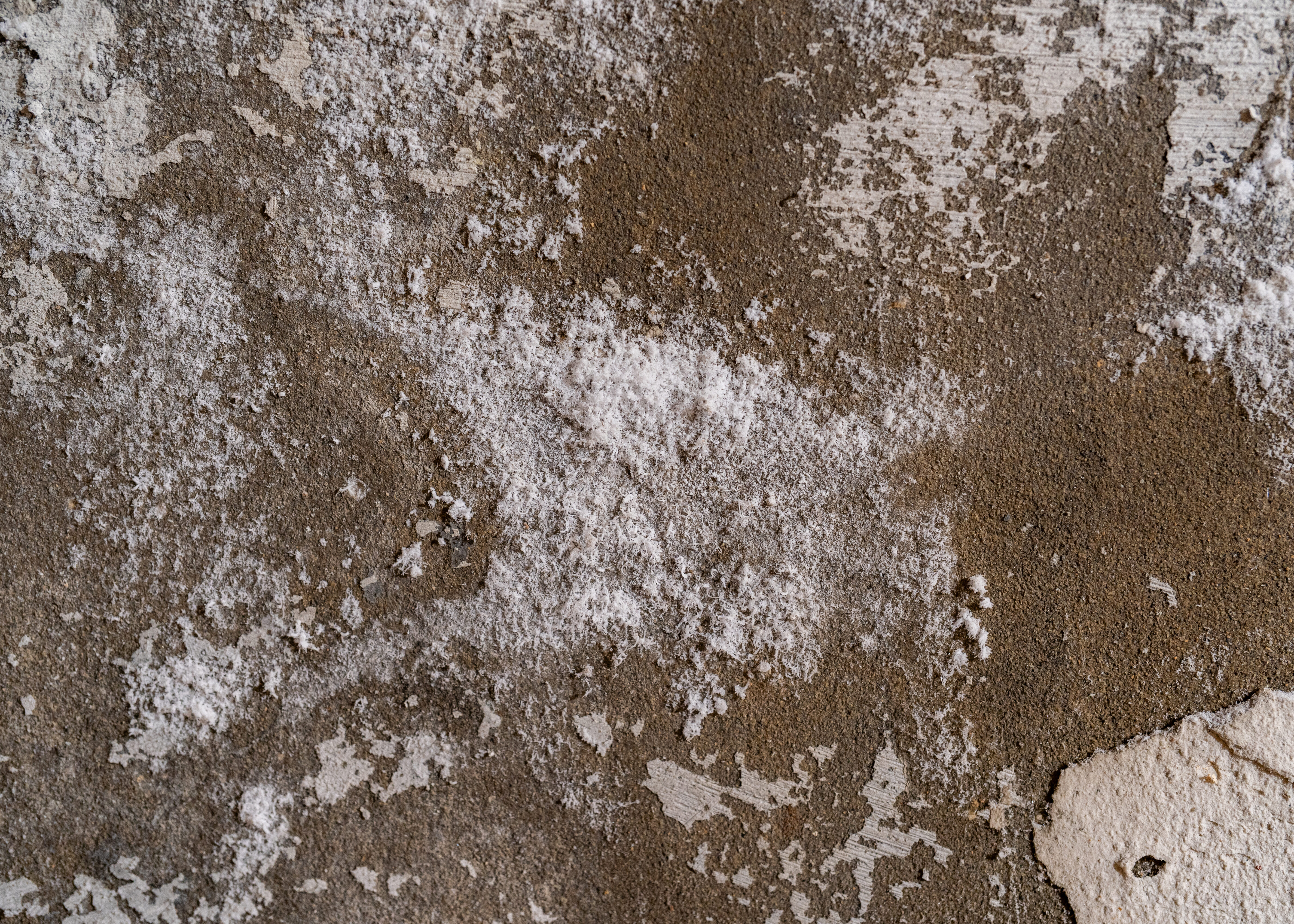 Salpêtre sur mur de cave causé par l’humidité