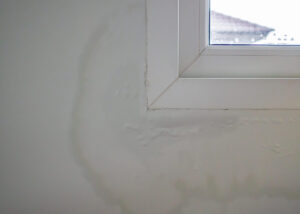 AuréoIes d’humidité autour d’une fenêtre