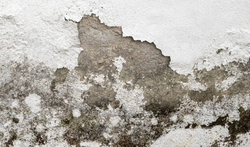 Mur de cave dégradé par l’humidité et moisissures