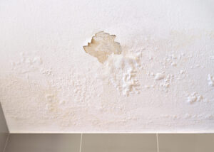 Dégradation du plafond causée par l’humidité en cave