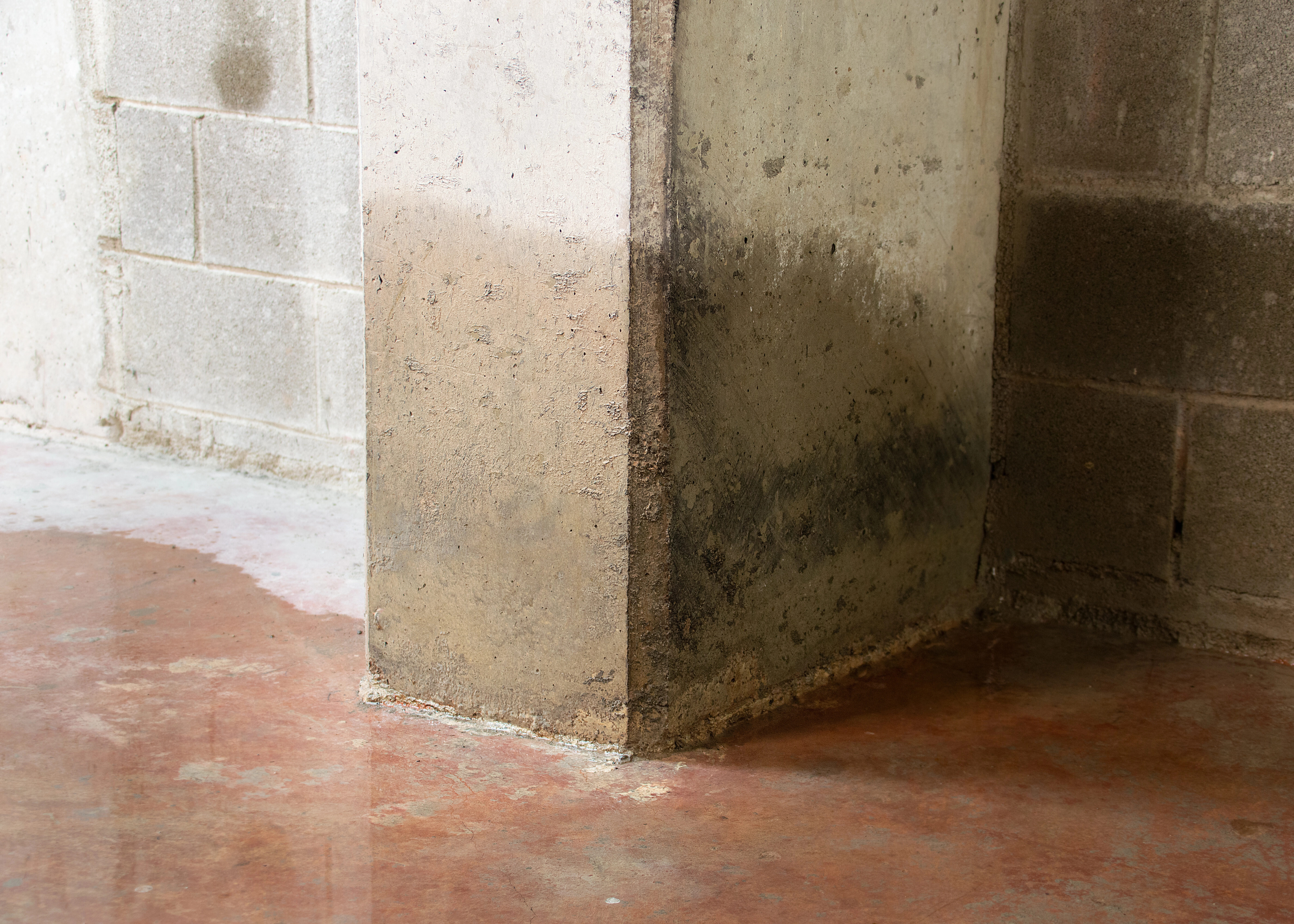 Remontées capillaires visibles sur mur de cave