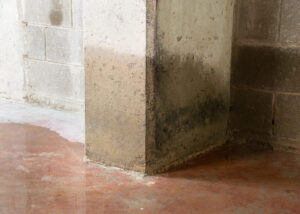 Remontées capillaires visibles au bas d’un mur de cave