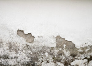 Mur dégradé par l’humidité et moisissures
