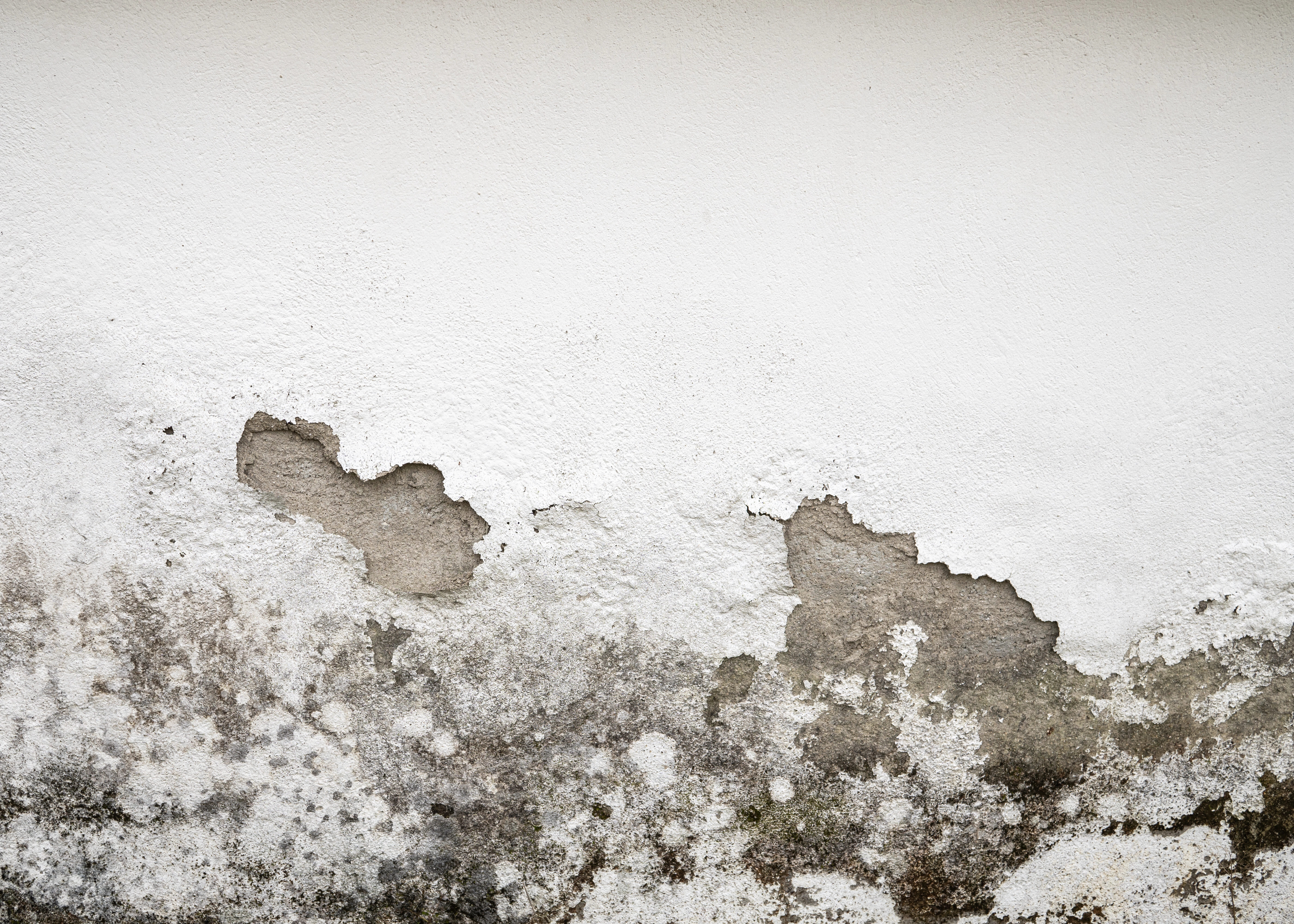 Mur dégradé par l’humidité et moisissures