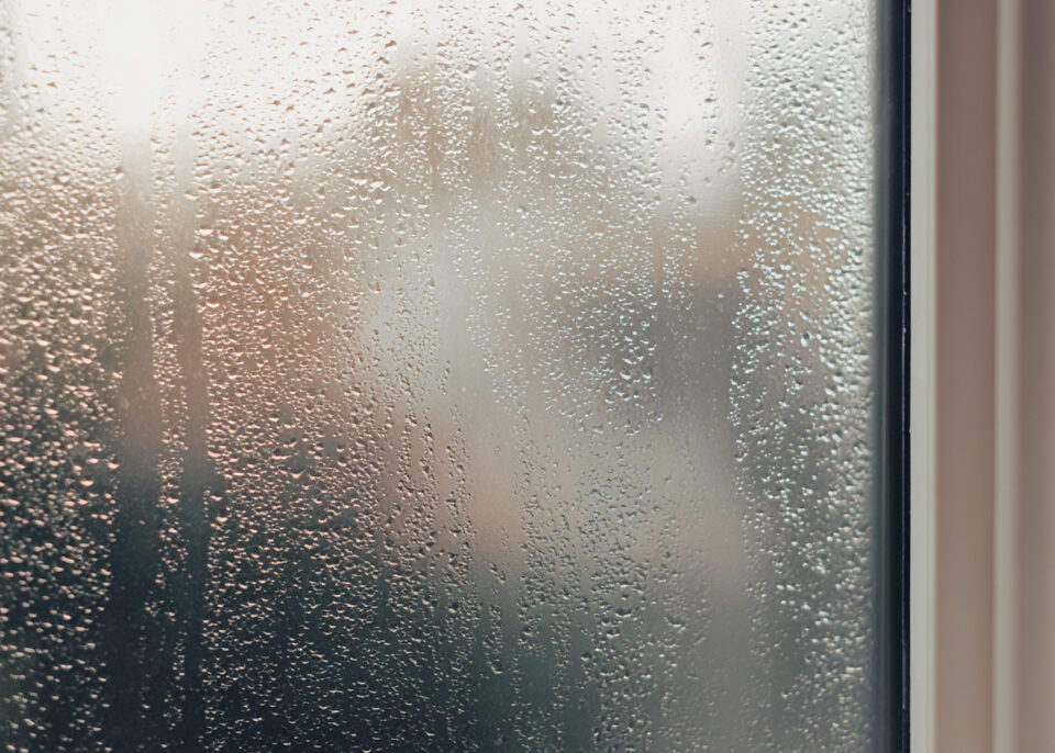 Condensation visible sur fenêtre