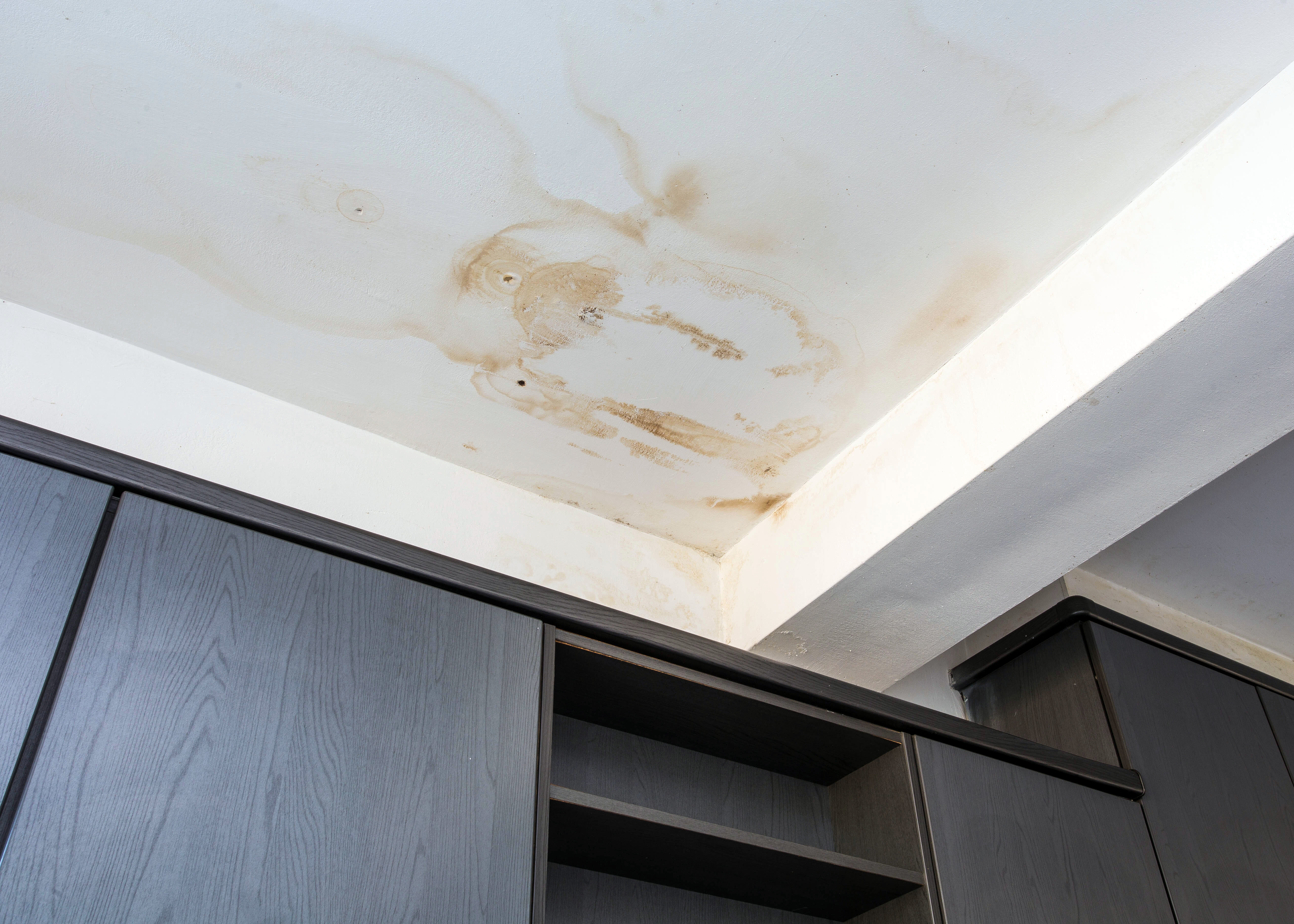 Dégradation du plafond avec auréoles causées par infiltration d’eau