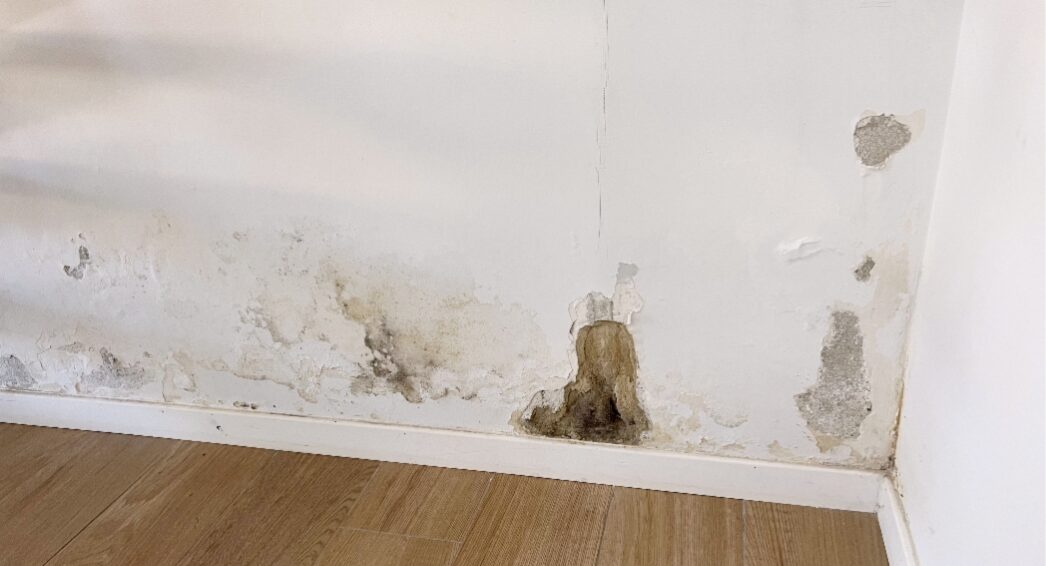 taches d'humidité visibles sur un mur intérieur