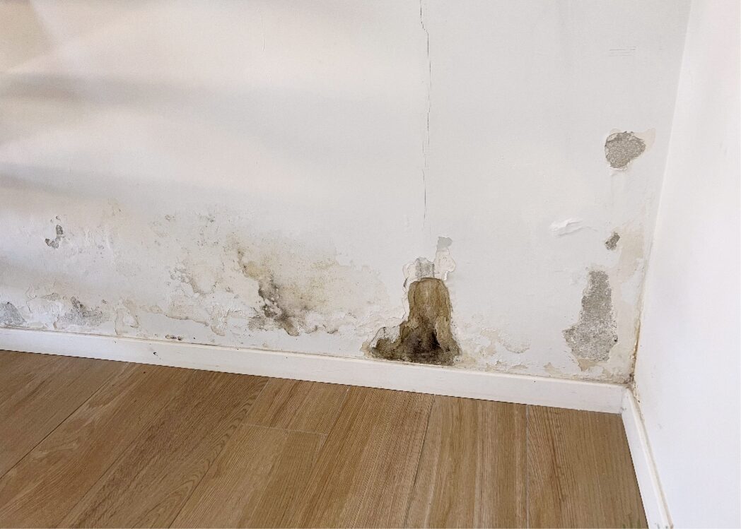 taches d'humidité visibles sur un mur intérieur