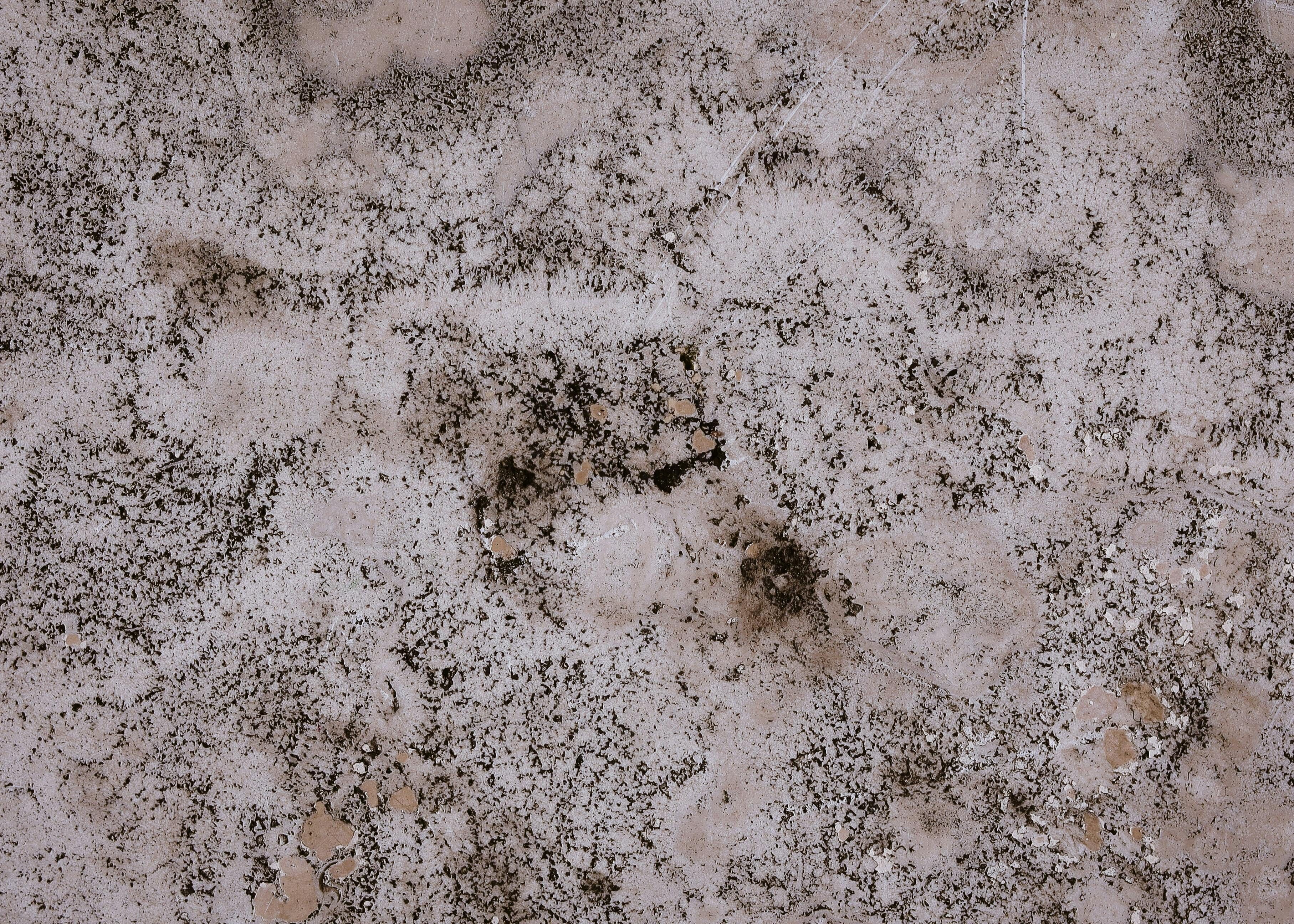 Dégradation par humidité avec moisissures blanches sur surface intérieure