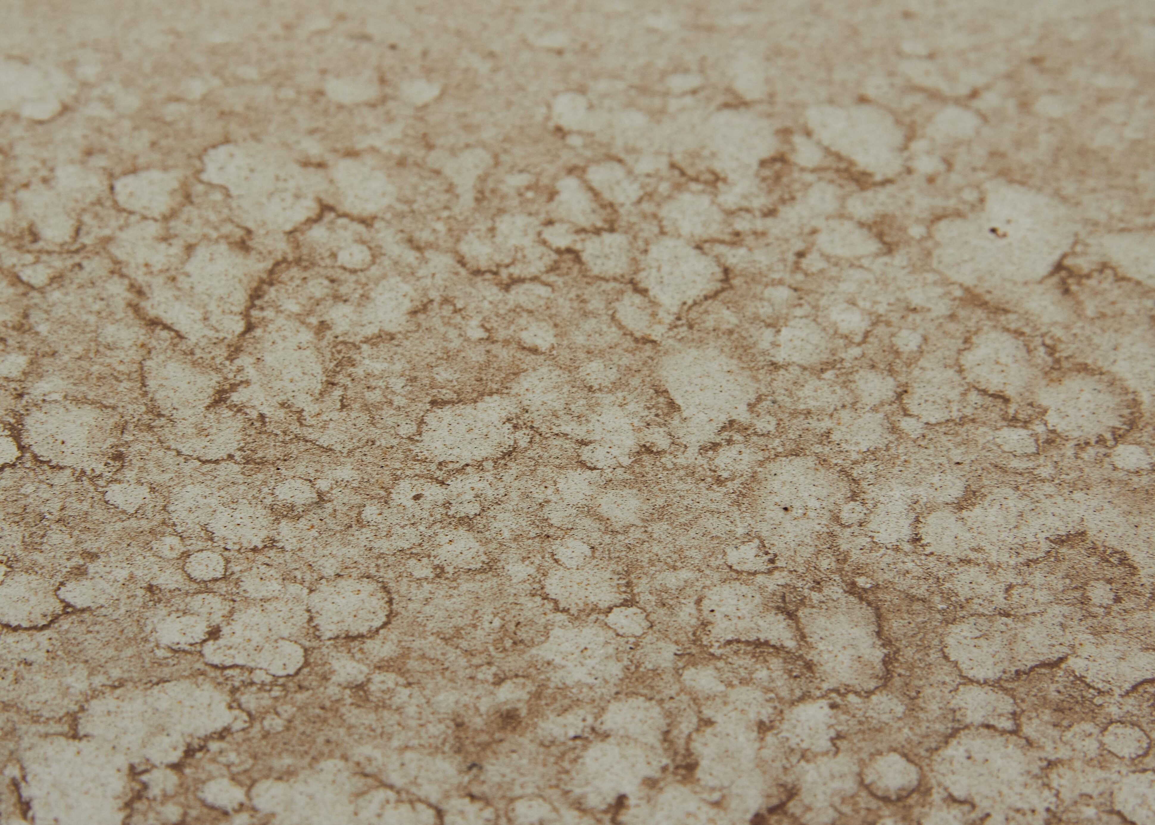 Dégradation par humidité avec moisissures brunes sur surface