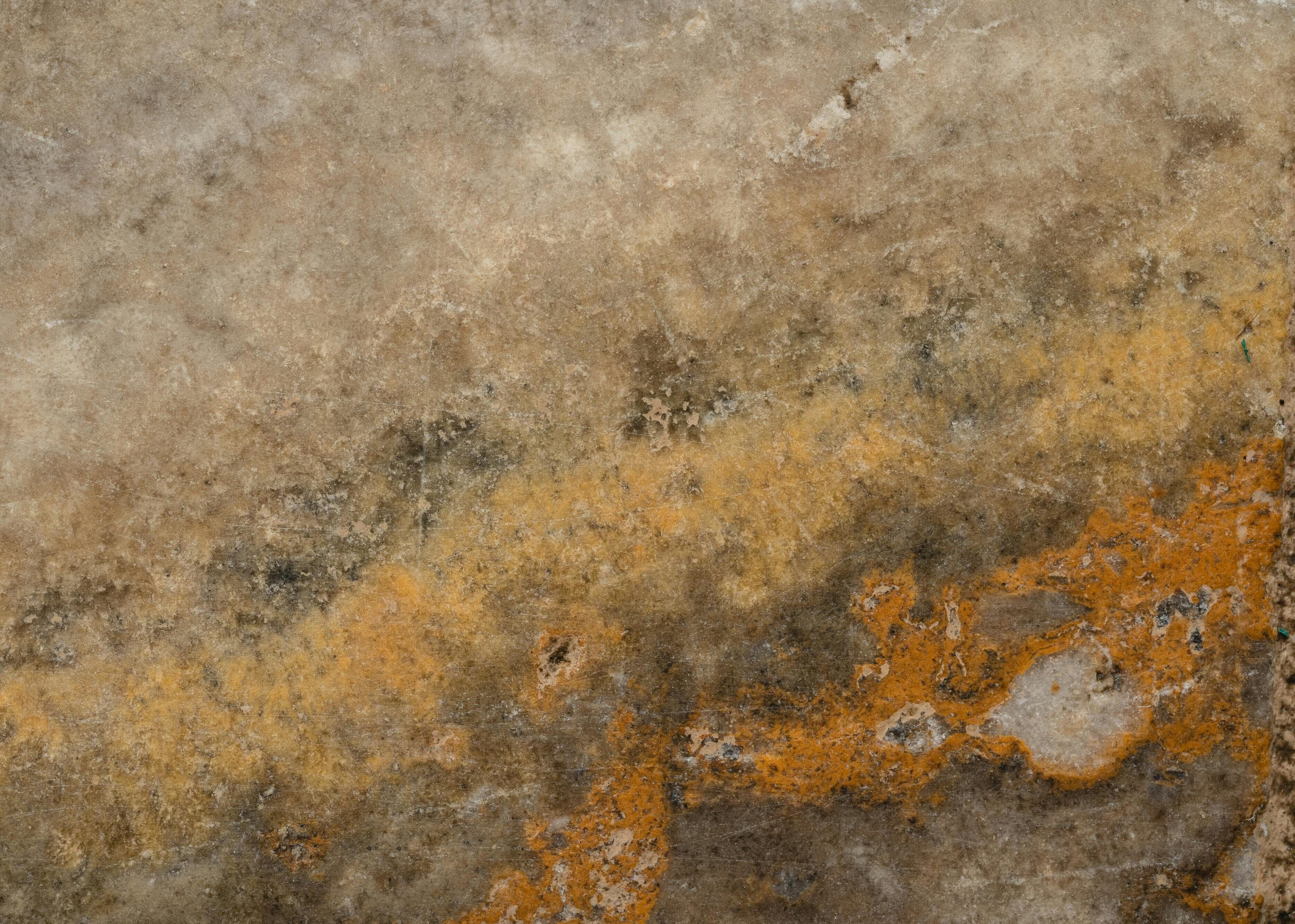 Mur affecté par des moisissures orange nécessitant traitement contre l’humidité