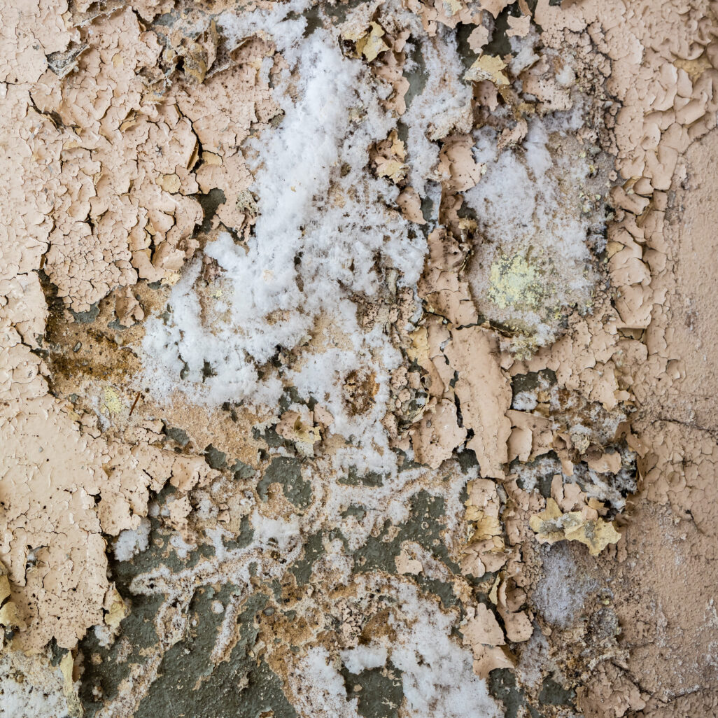 Dépôt de salpêtre blanc sur mur humide en gros plan