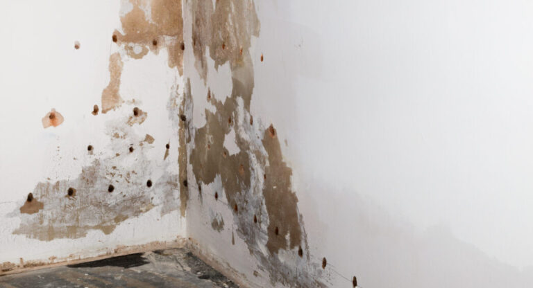 Mur présentant des traces d’humidité et enduit dégradé