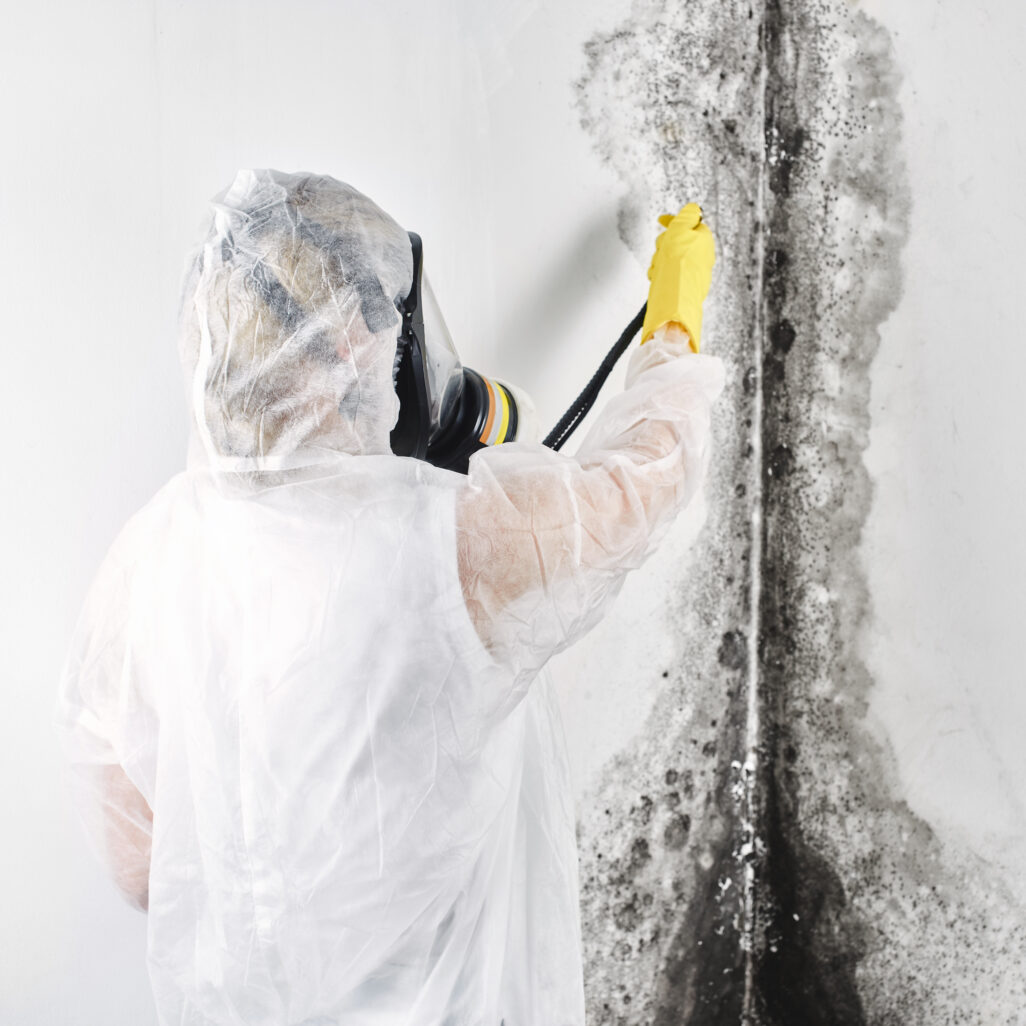 Professionnel en combinaison blanche traitant les moisissures murales