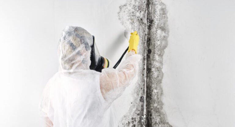 Professionnel en combinaison blanche traitant les moisissures murales