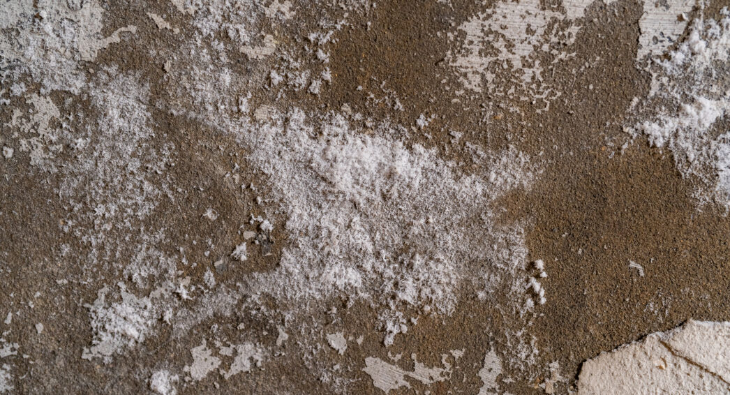Salpêtre sur mur causé par l’humidité