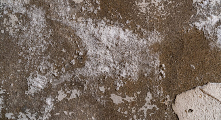 Salpêtre sur mur causé par l’humidité