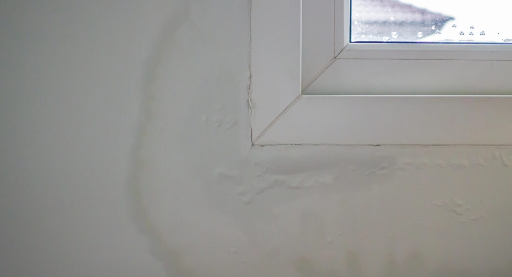 AuréoIes d’humidité autour d’une fenêtre