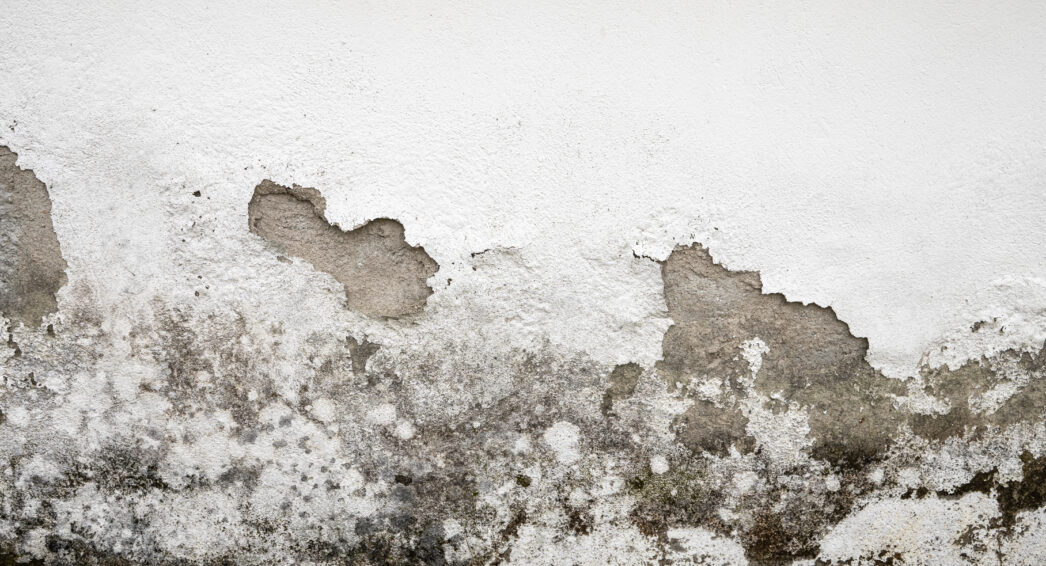 Mur dégradé par l’humidité et moisissures