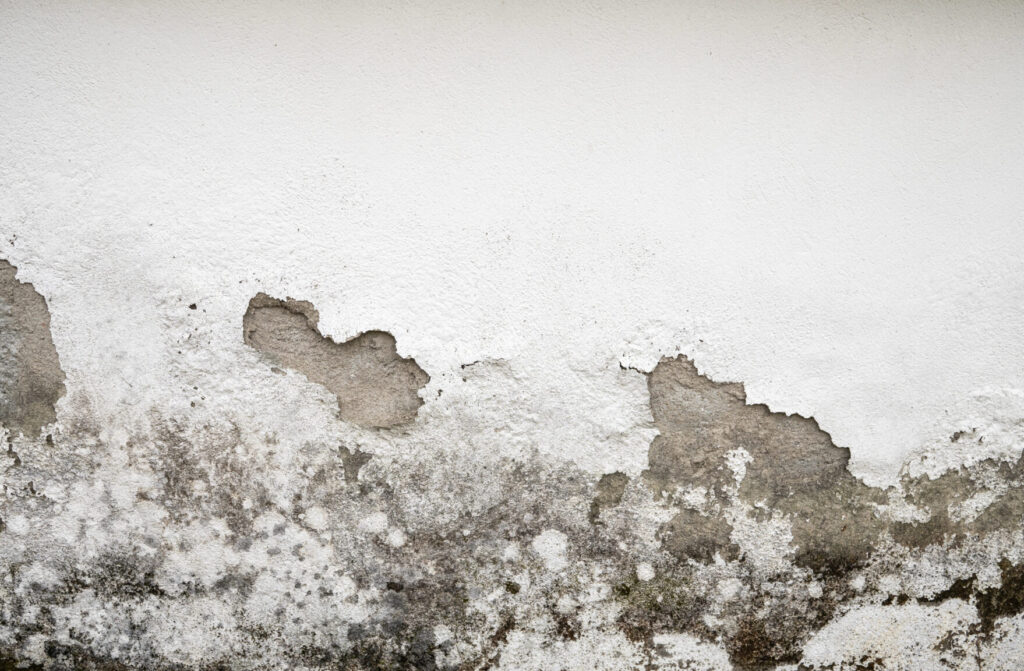 Mur dégradé par l’humidité et moisissures