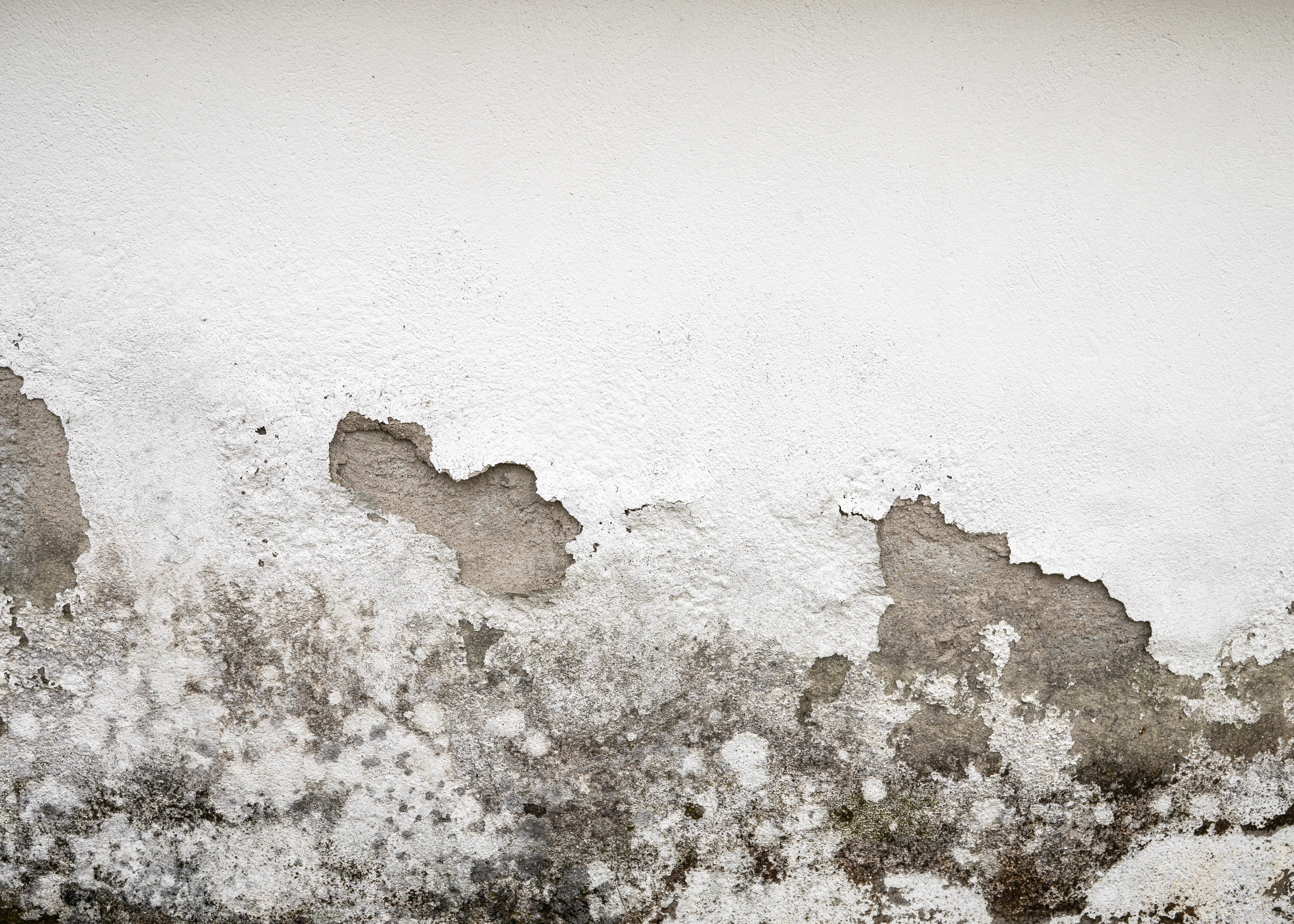 Mur dégradé par l’humidité et moisissures