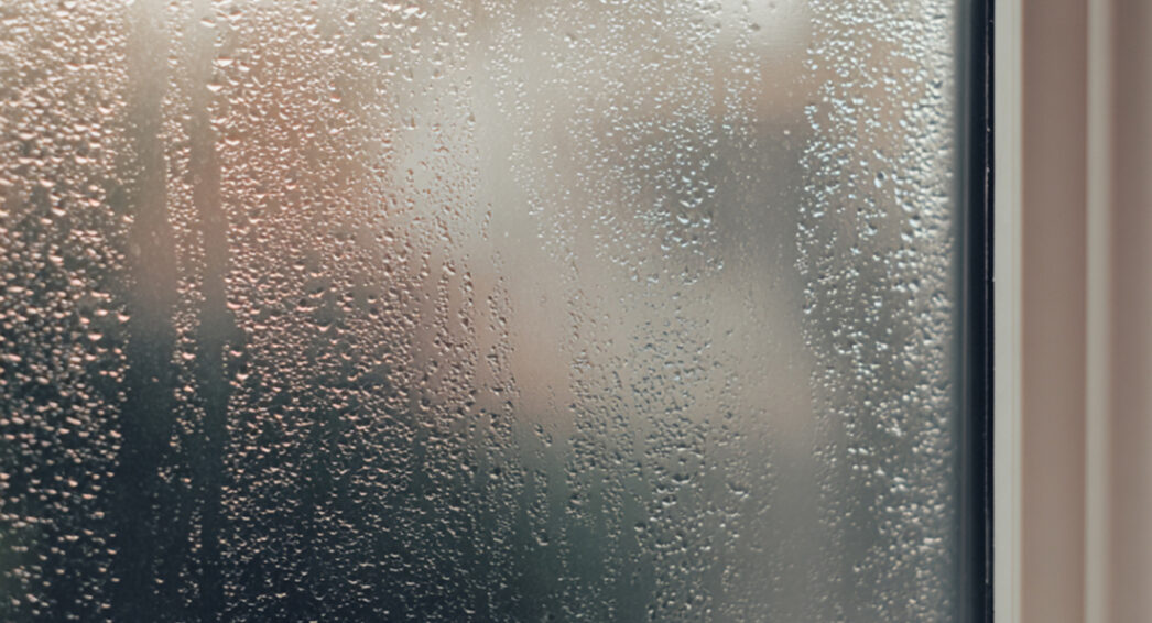 Condensation visible sur fenêtre