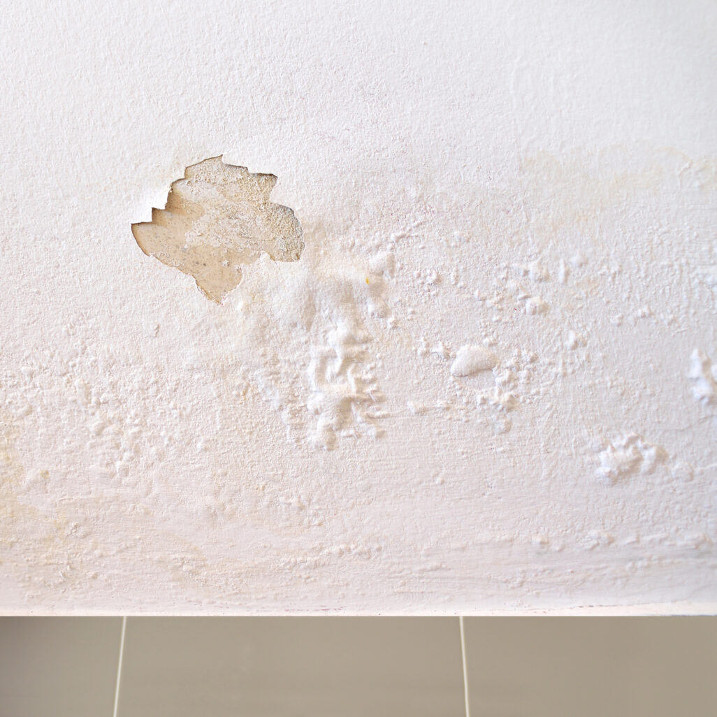 Mur présentant des cloques dues à l’humidité