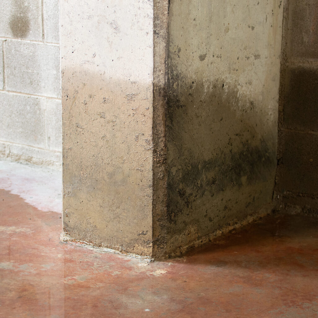 Remontées capillaires visibles au bas d’un mur