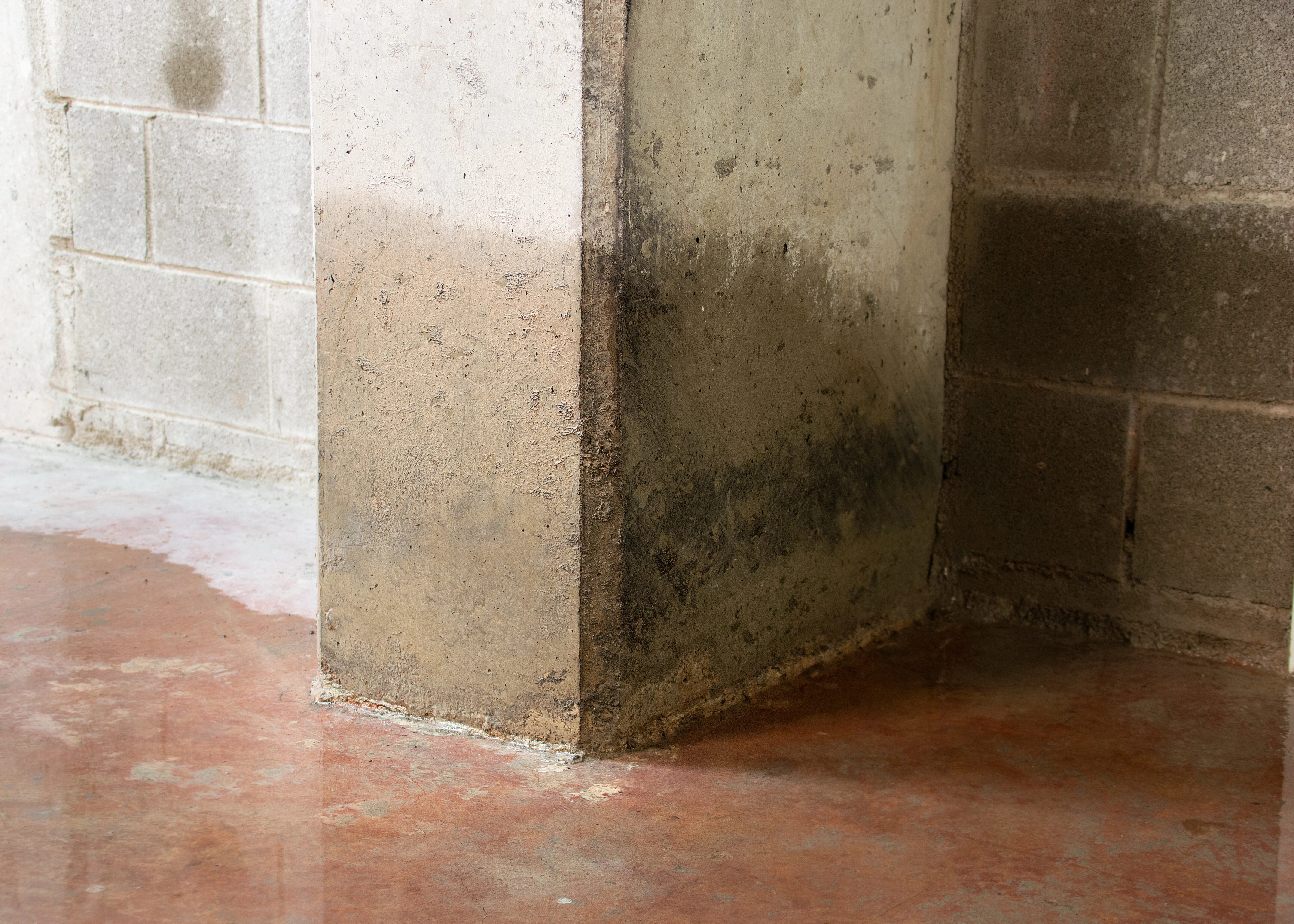 Remontées capillaires visibles au bas d’un mur