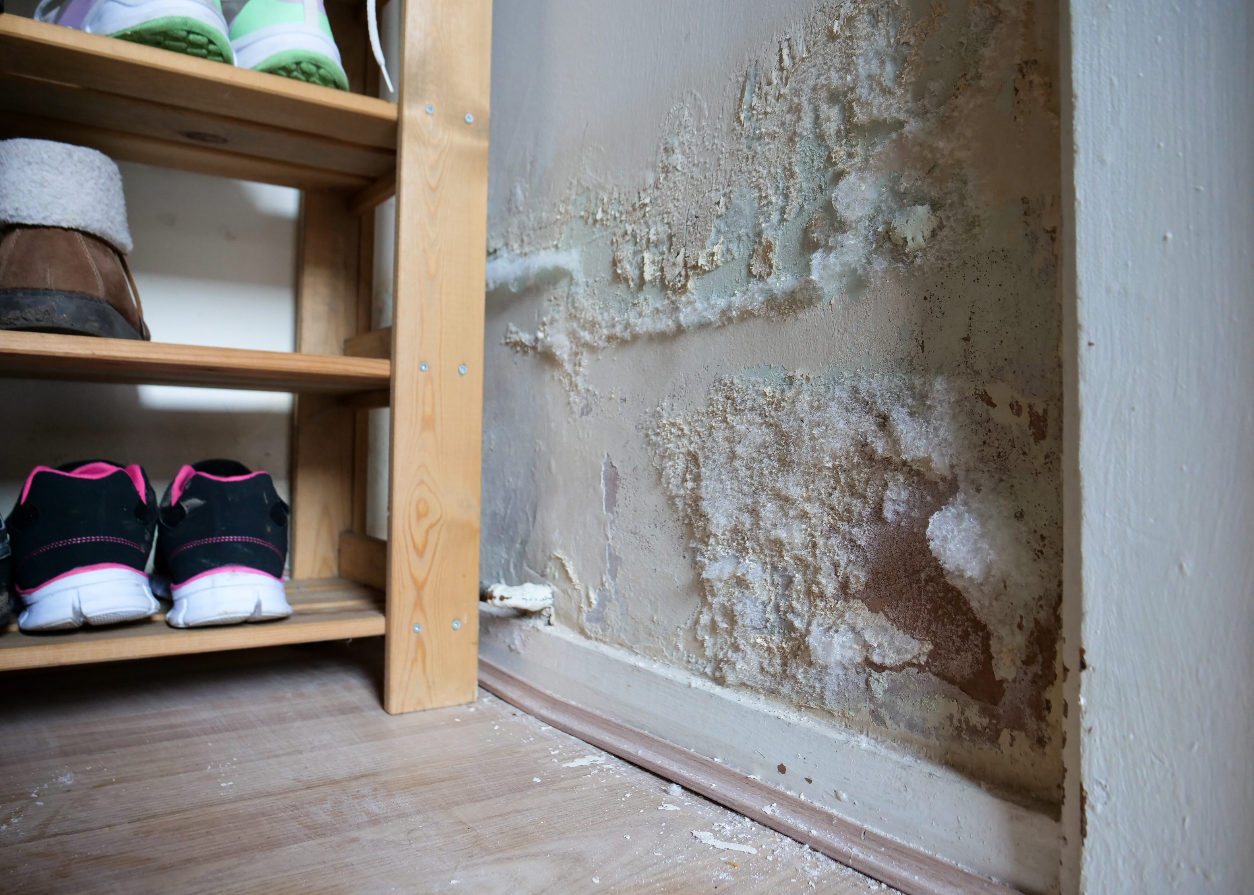 Dégâts d’humidité entraînant des pertes matérielles