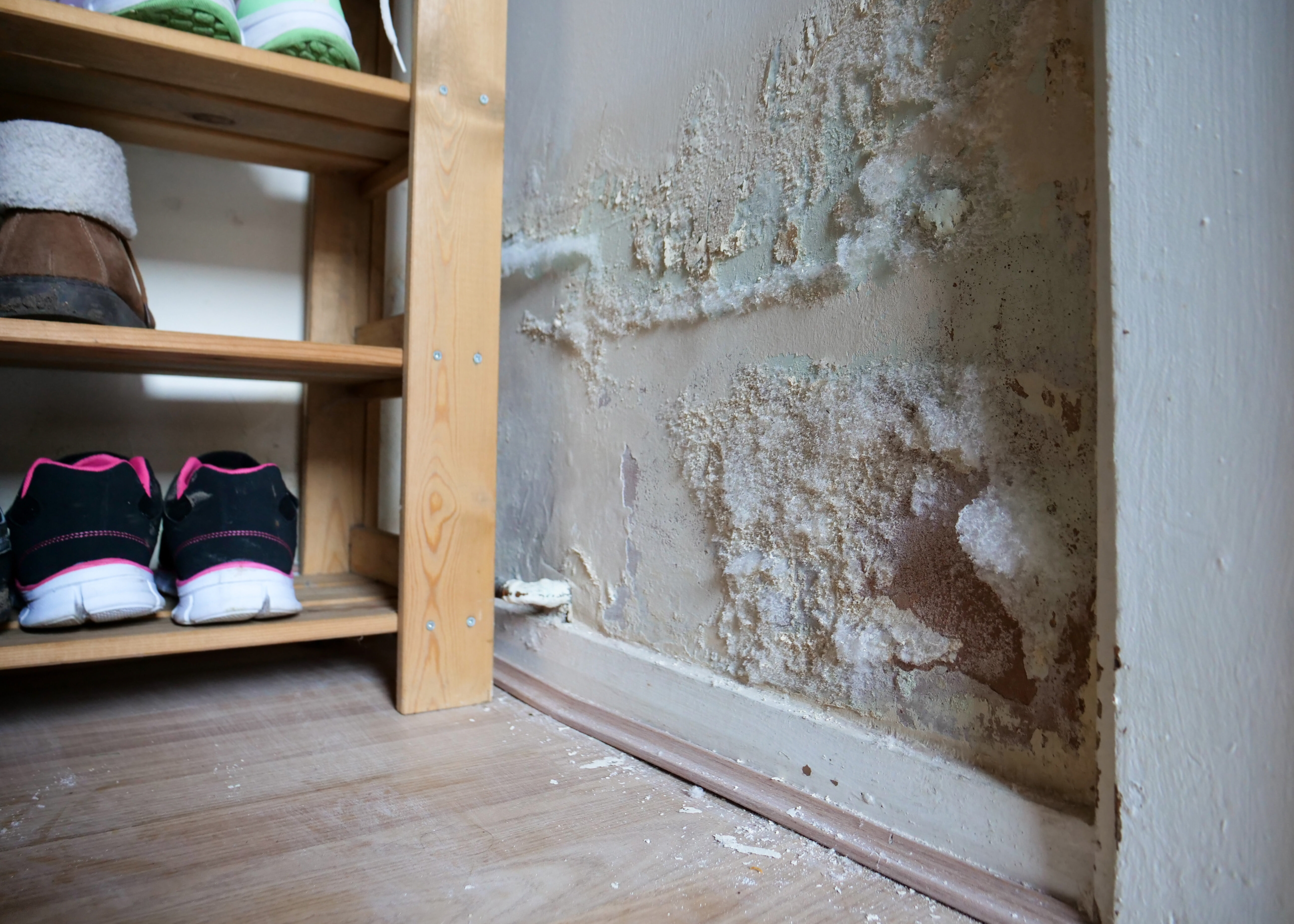 Dégâts d’humidité entraînant des pertes matérielles