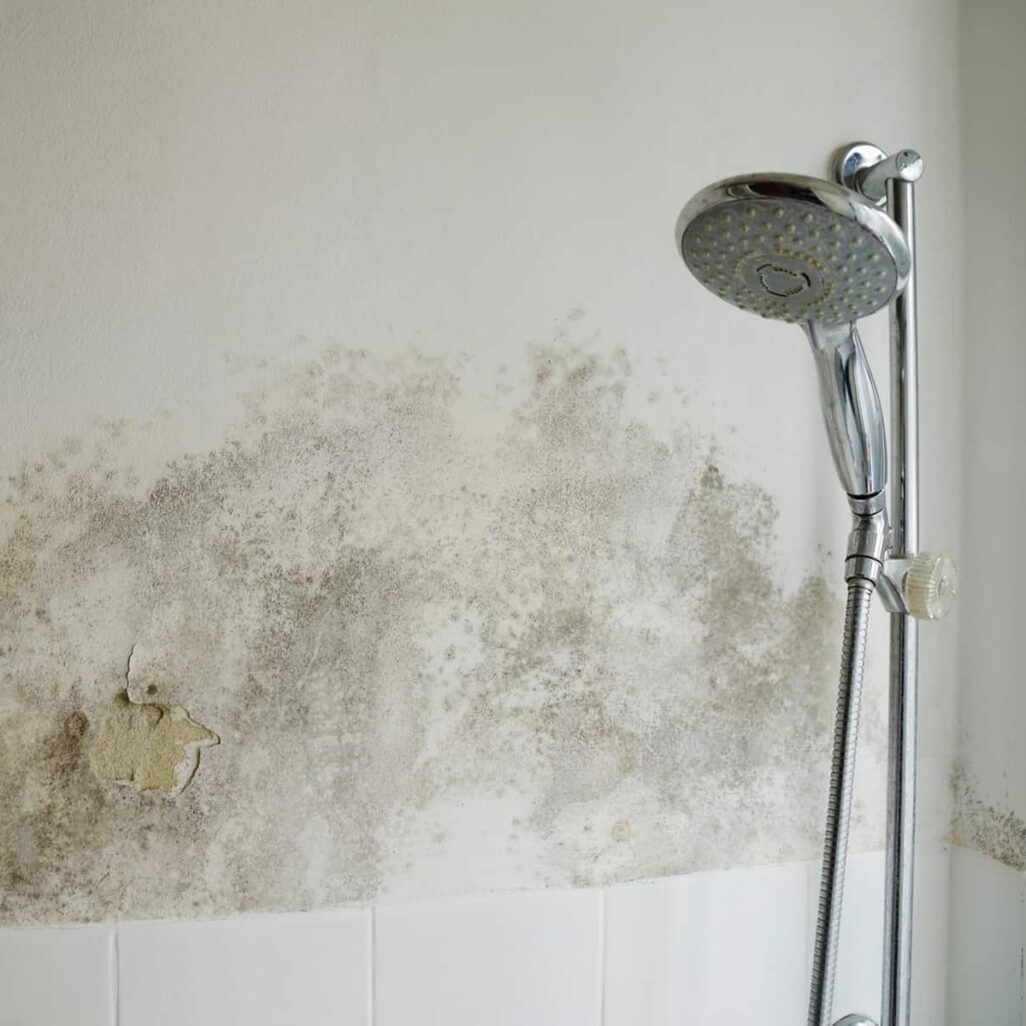Taches de moisissure dans une salle de bain dues à un excès d’humidité