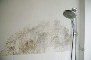 Taches de moisissure dans une salle de bain dues à un excès d’humidité