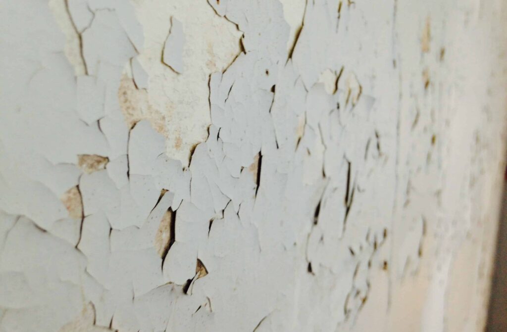 	Mur abîmé par l’humidité avec cloques et peinture décollée