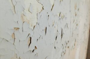 	Mur abîmé par l’humidité avec cloques et peinture décollée