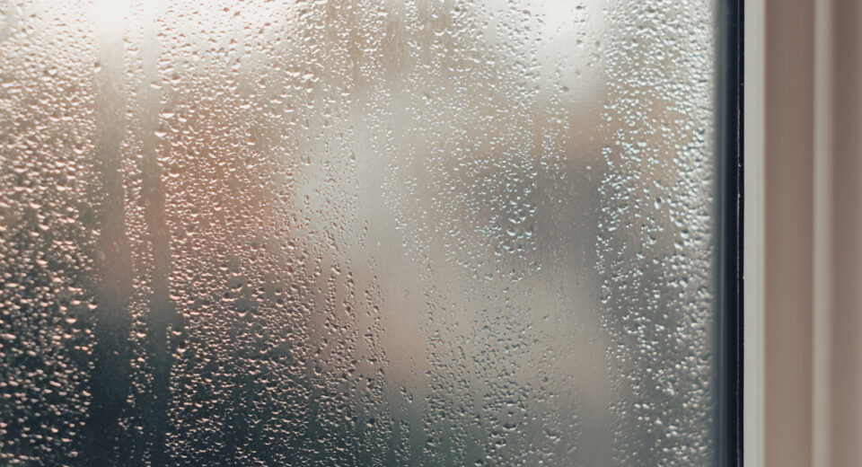 Condensation visible sur fenêtre