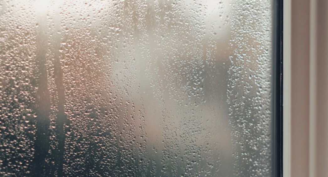 Traitement de la condensation : retrouvez un air sain