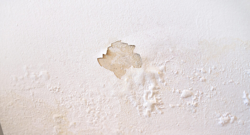 Mur présentant des cloques dues à l’humidité