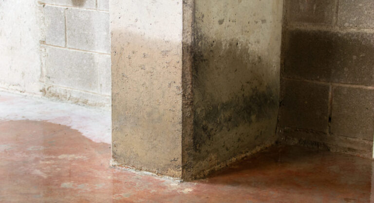 Remontées capillaires visibles au bas d’un mur