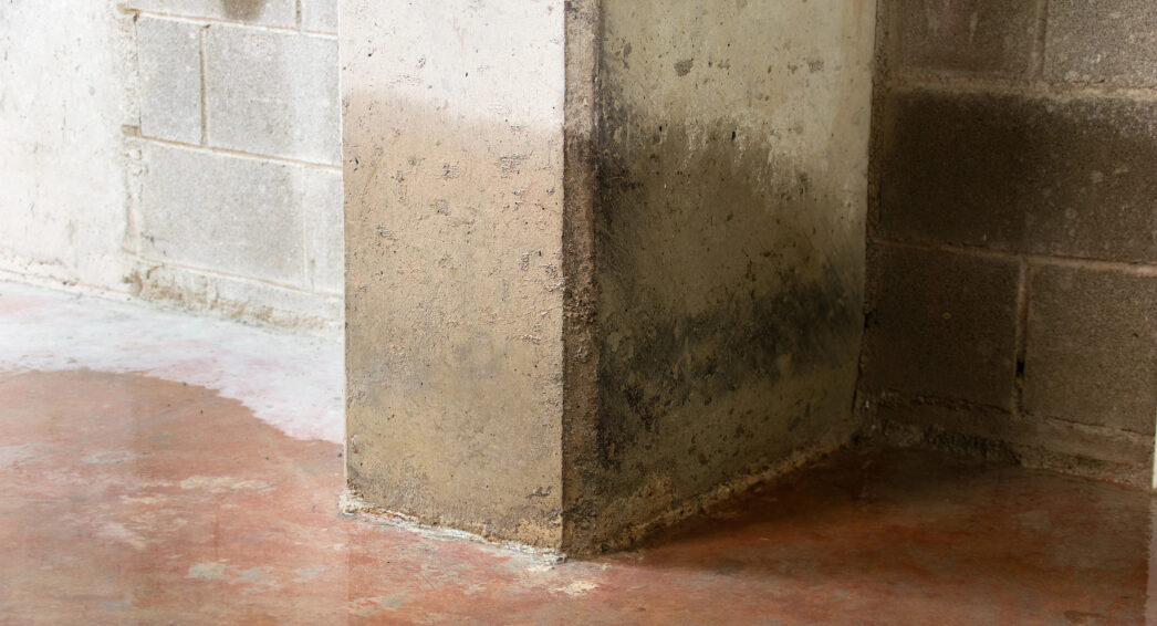 Remontées capillaires visibles au bas d’un mur