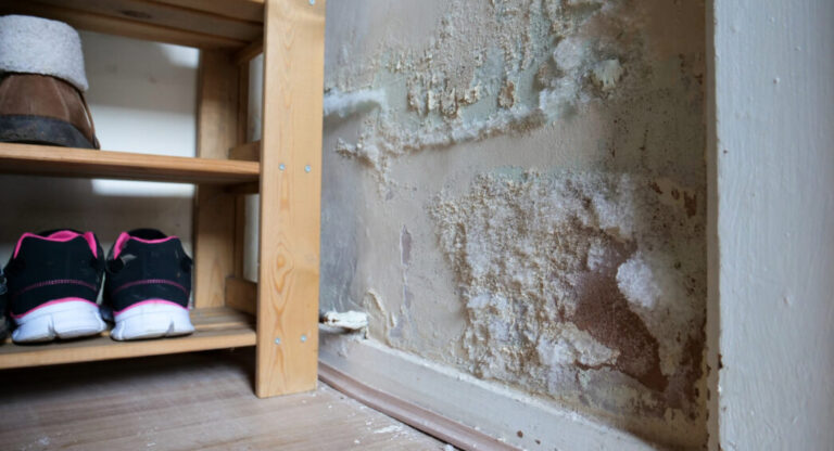 Dégâts d’humidité entraînant des pertes matérielles