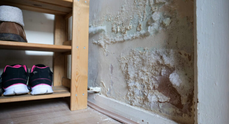 Dégâts d’humidité entraînant des pertes matérielles