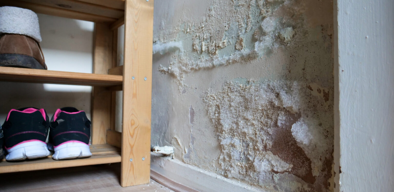 Dégâts d’humidité entraînant des pertes matérielles